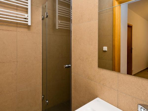 Budget Apartment : photo 3 de la chambre appartement Économique