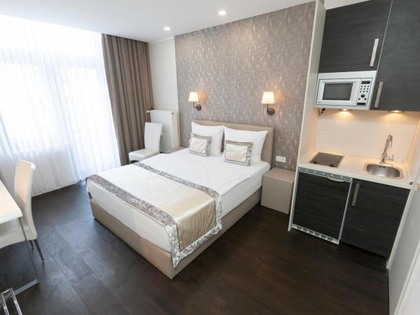 Hotel Prinz Anton : photo 4 de la chambre appartement en annexe