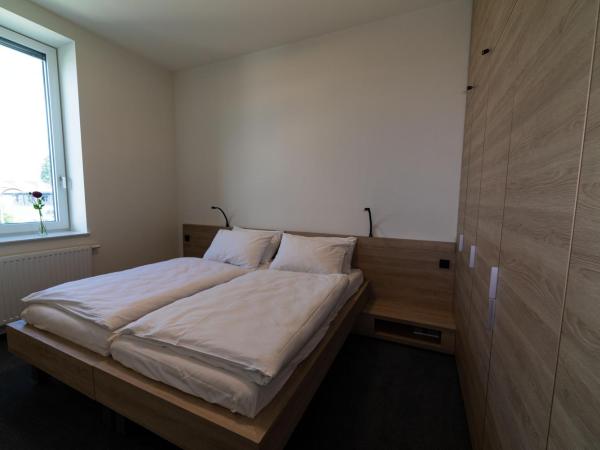 TT-ROOMS - kontaktlos mit Self Check-in : photo 3 de la chambre appartement supérieur