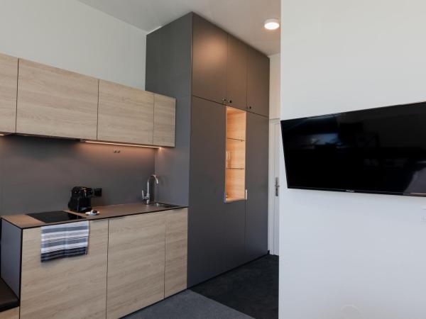 TT-ROOMS - kontaktlos mit Self Check-in : photo 7 de la chambre appartement standard