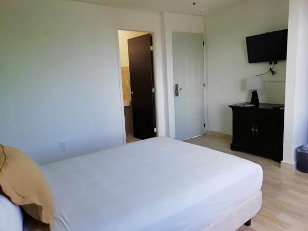 Hotel Green 16 : photo 8 de la chambre chambre d'hôtel