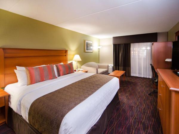 Best Western Plus Ottawa Kanata Hotel and Conference Centre : photo 6 de la chambre chambre lit king-size avec canapé-lit