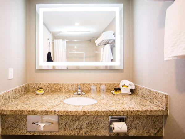 Best Western Plus Ottawa Kanata Hotel and Conference Centre : photo 5 de la chambre chambre avec 2 grands lits queen-size 