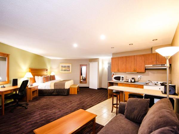 Best Western Plus Ottawa Kanata Hotel and Conference Centre : photo 7 de la chambre studio lit king-size