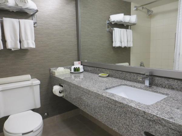 Toronto Don Valley Hotel and Suites : photo 5 de la chambre chambre lit king-size deluxe avec balcon