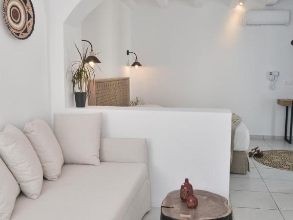 Blue Paradise Apartments : photo 9 de la chambre studio avec vue sur jardin
