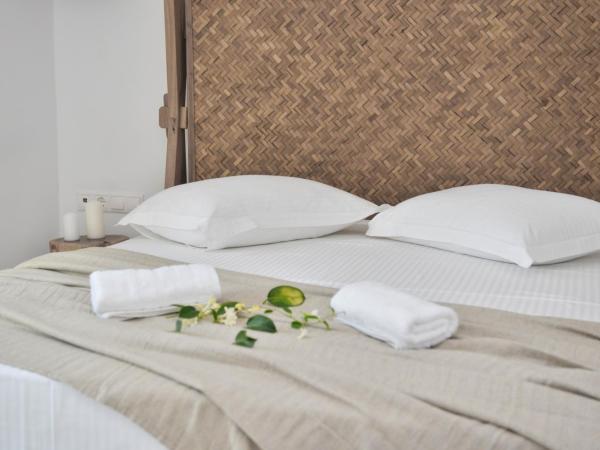 Blue Paradise Apartments : photo 7 de la chambre appartement - vue sur jardin