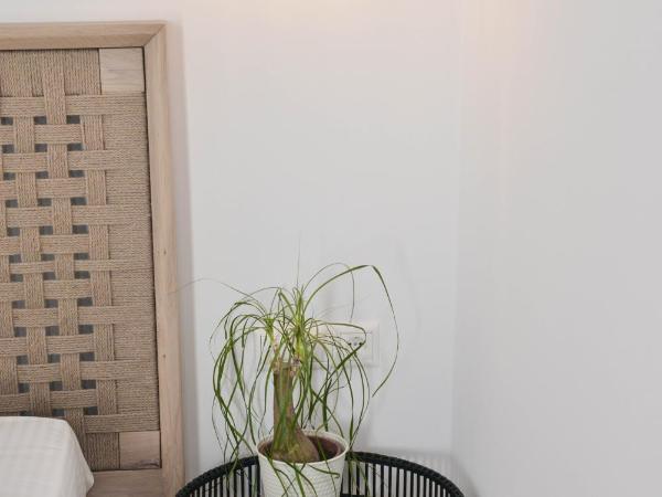 Blue Paradise Apartments : photo 7 de la chambre studio avec vue sur jardin