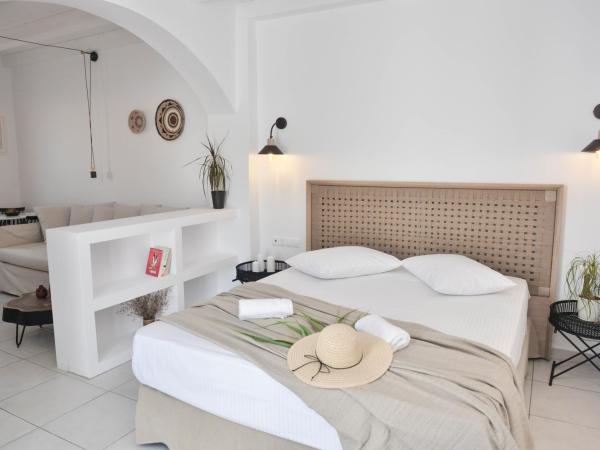 Blue Paradise Apartments : photo 4 de la chambre studio avec vue sur jardin
