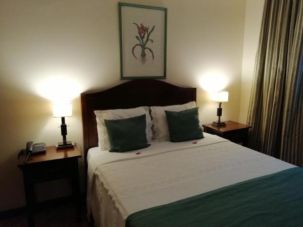 Vera Cruz Porto Downtown Hotel : photo 1 de la chambre chambre simple