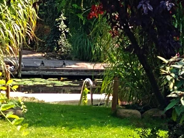 Pension an der Elsterbrücke : photo 6 de la chambre petit studio