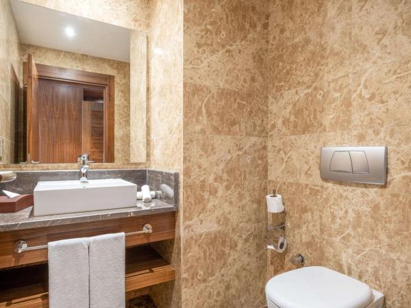 Clarion Hotel Istanbul Mahmutbey : photo 7 de la chambre suite double - non-fumeurs