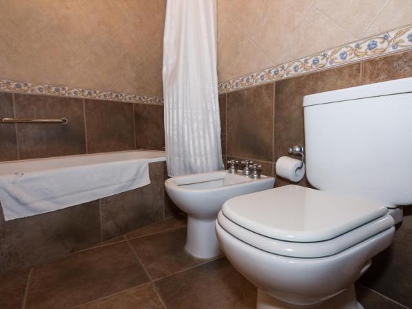 Lagos del Sur : photo 8 de la chambre chambre standard - vue sur lac