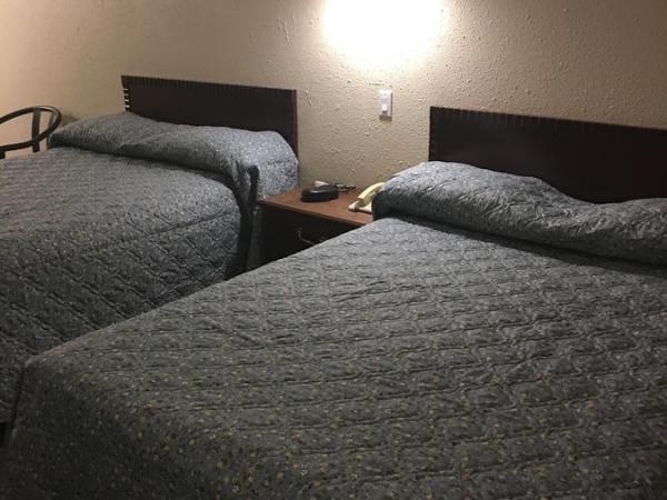 Red Deer Inn & Suites : photo 2 de la chambre chambre double standard