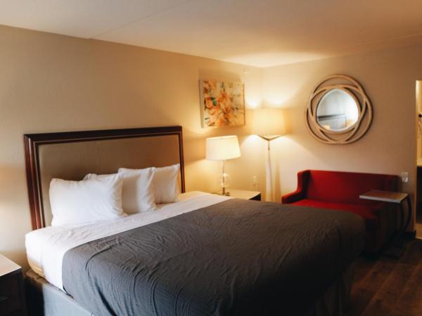 All Seasons Inn & Suites : photo 1 de la chambre king room (remodeled) - smoking