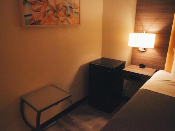 All Seasons Inn & Suites : photo 7 de la chambre king room (remodeled) - smoking