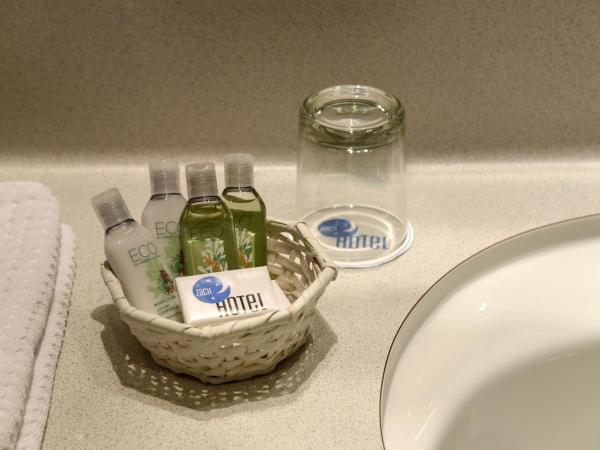 Hotel Zach : photo 3 de la chambre chambre double - accessible aux personnes à mobilité réduite