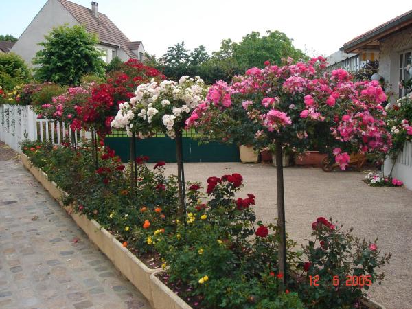 Hôtel Restaurant Maison Blanche : photo 4 de la chambre chambre double standard