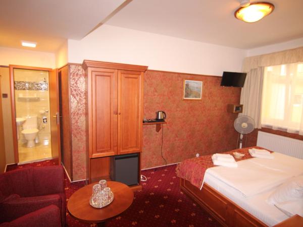Old Prague Hotel : photo 1 de la chambre chambre double ou lits jumeaux Économique 