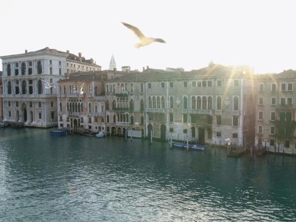 Ca' Angeli : photo 2 de la chambre suite junior - vue sur le grand canal