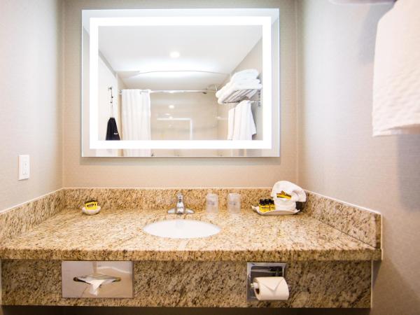 Best Western Plus Ottawa Kanata Hotel and Conference Centre : photo 9 de la chambre chambre avec 2 grands lits queen-size 