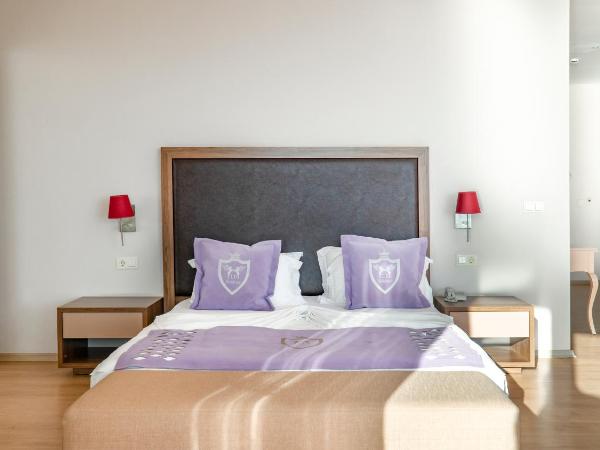 Ladies Beach Suite Hotel : photo 8 de la chambre studio