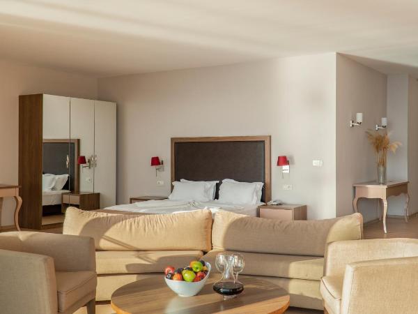 Ladies Beach Suite Hotel : photo 3 de la chambre studio