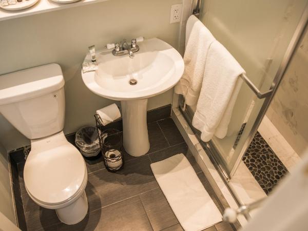 Cadet Hotel : photo 5 de la chambre chambre lit queen-size 