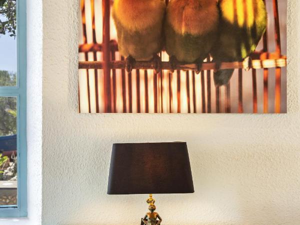 Riad Tamayourt Ocean View & piscine chauffée à 30 : photo 5 de la chambre villa - vue sur mer