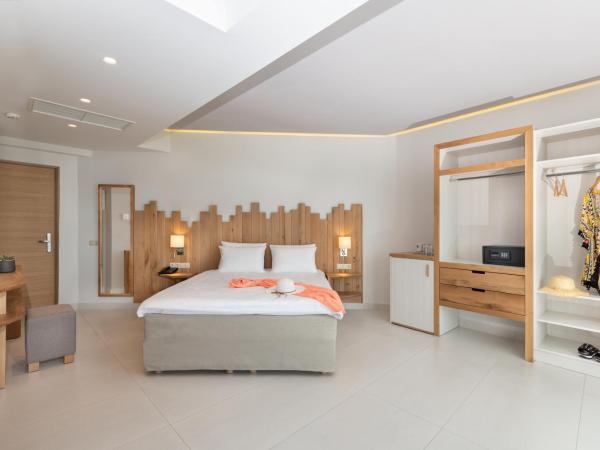 Star Beach Village & Water Park : photo 2 de la chambre chambre double Économique - bâtiment annexe 