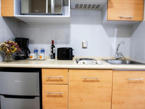 Suites Coben Apartamentos Amueblados : photo 5 de la chambre studio