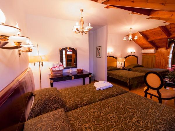 Krikonis Hotel : photo 5 de la chambre chambre quadruple