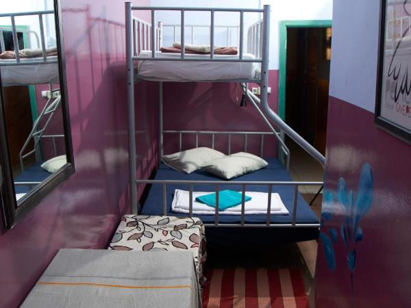 Chillout Lya Hostel & Lounge : photo 1 de la chambre chambre triple avec salle de bains commune