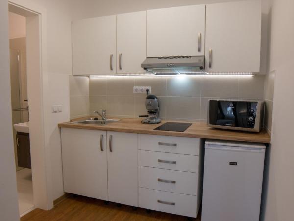 Mecset Apartman : photo 6 de la chambre studio