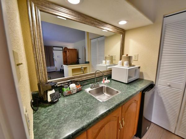 Ramada by Wyndham Jacksonville Hotel & Conference Center : photo 3 de la chambre suite 1 chambre lit king-size - non-fumeurs