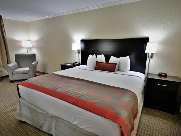 Ramada by Wyndham Jacksonville Hotel & Conference Center : photo 3 de la chambre chambre lit king-size - non-fumeurs