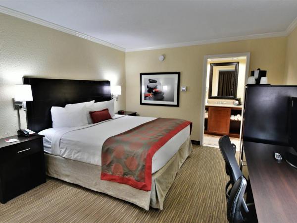 Ramada by Wyndham Jacksonville Hotel & Conference Center : photo 2 de la chambre chambre lit king-size - non-fumeurs