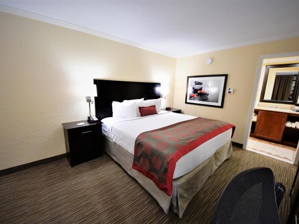 Ramada by Wyndham Jacksonville Hotel & Conference Center : photo 5 de la chambre chambre lit king-size - non-fumeurs