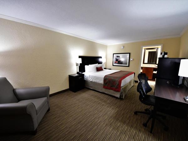 Ramada by Wyndham Jacksonville Hotel & Conference Center : photo 4 de la chambre chambre lit king-size - non-fumeurs