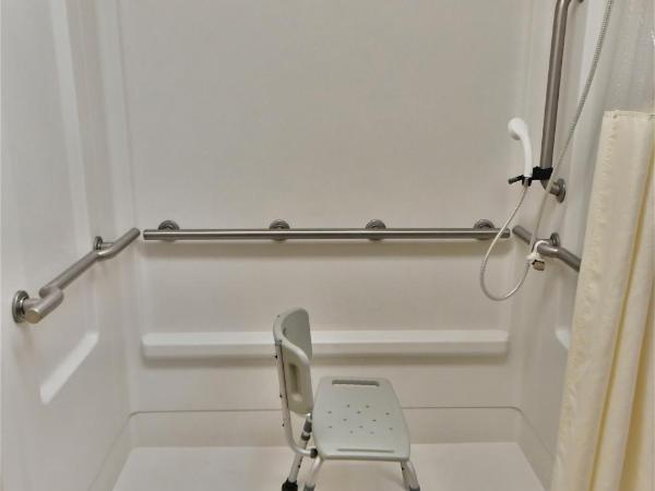 Ramada by Wyndham Jacksonville Hotel & Conference Center : photo 4 de la chambre chambre lit queen-size accessible aux personnes à mobilité réduite/malentendantes - non-fumeurs