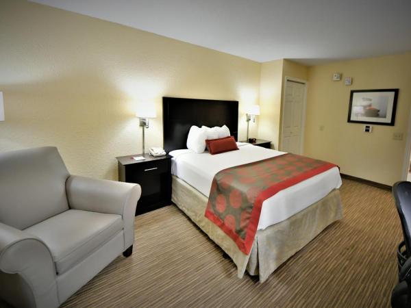 Ramada by Wyndham Jacksonville Hotel & Conference Center : photo 1 de la chambre chambre lit queen-size accessible aux personnes à mobilité réduite/malentendantes - non-fumeurs