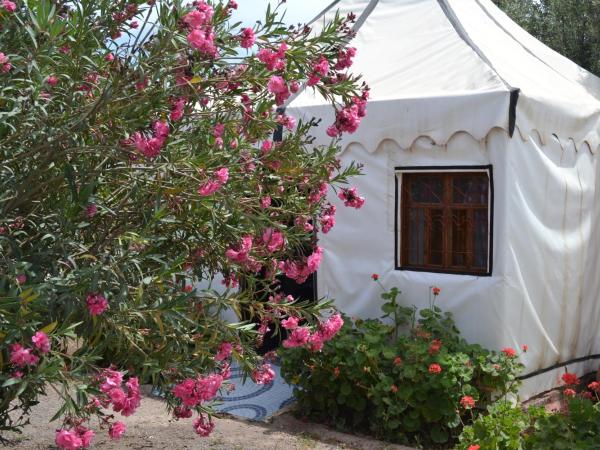 Le Relais De Marrakech : photo 4 de la chambre tente nomade supérieure