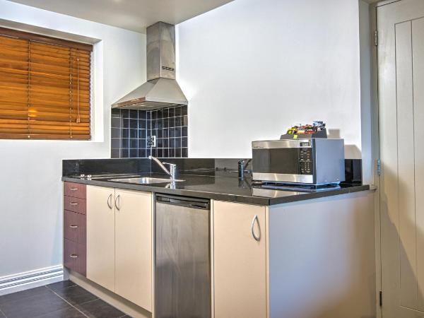 Autoline Queenstown Motel : photo 3 de la chambre grand studio - rez-de-chaussée