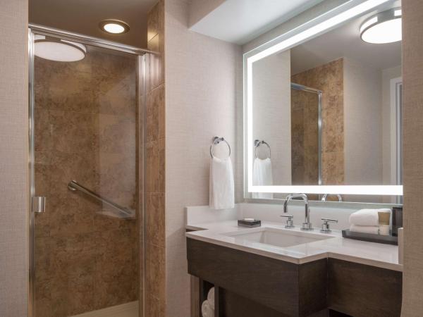 Hyatt Regency Orlando International Airport Hotel : photo 2 de la chambre chambre lit king-size avec balcon