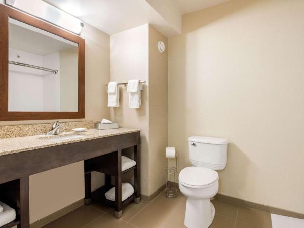 Comfort Inn & Suites : photo 1 de la chambre queen room with sofa-bed - accessible/non-smoking