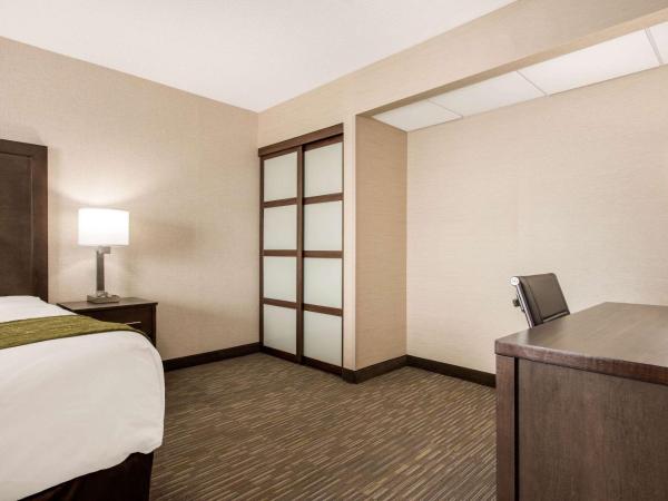 Comfort Inn & Suites : photo 4 de la chambre suite supérieure - non-fumeurs