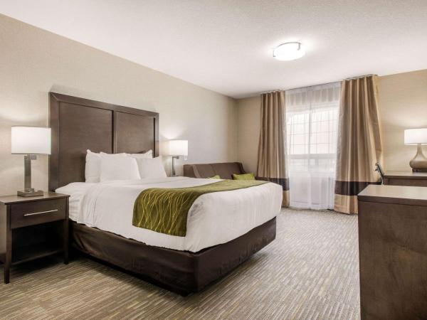 Comfort Inn & Suites : photo 6 de la chambre queen room with sofa-bed - accessible/non-smoking
