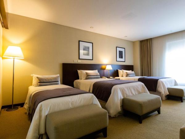 474 Buenos Aires Hotel : photo 2 de la chambre chambre triple