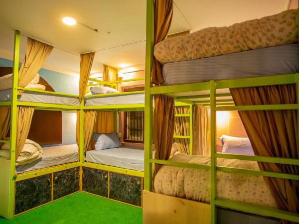Big Tree Hostel : photo 4 de la chambre lit dans dortoir mixte de 6 lits