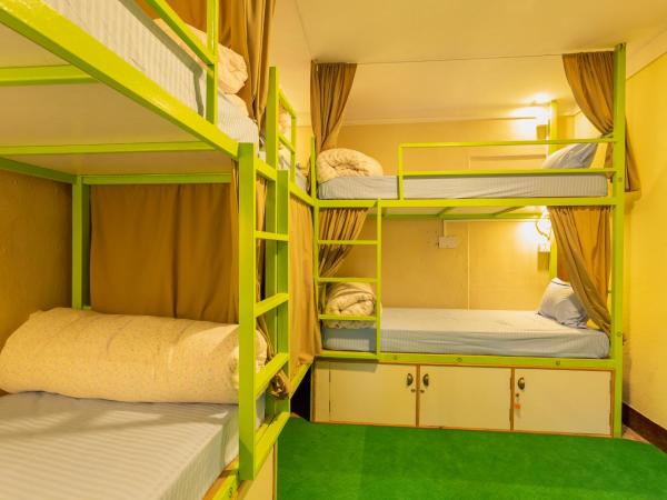 Big Tree Hostel : photo 2 de la chambre lit dans dortoir pour femmes de 6 lits
